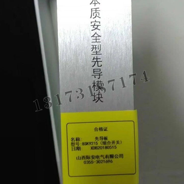山西際安先導板8SK9215本質**型先導模塊（組合開關）-1.jpg