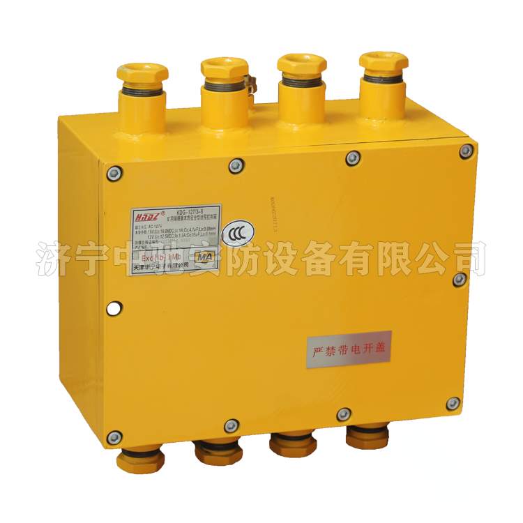天津華寧KDG-127-3-8礦用隔爆兼本質**型遠程控制箱 (4).png